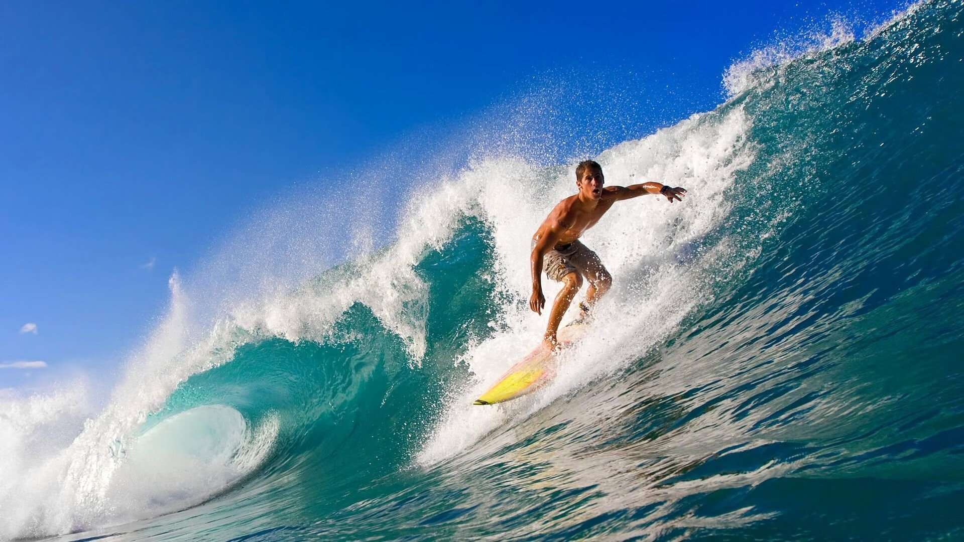 世界杯之夜，范弗利特的表现堪称教科书