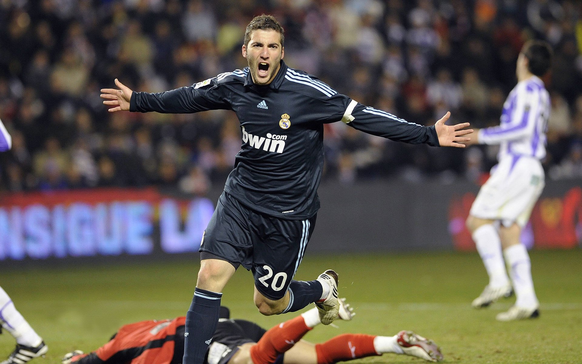 若日尼奥的完美交响曲，当新西兰的坚韧遇上比利时的华丽