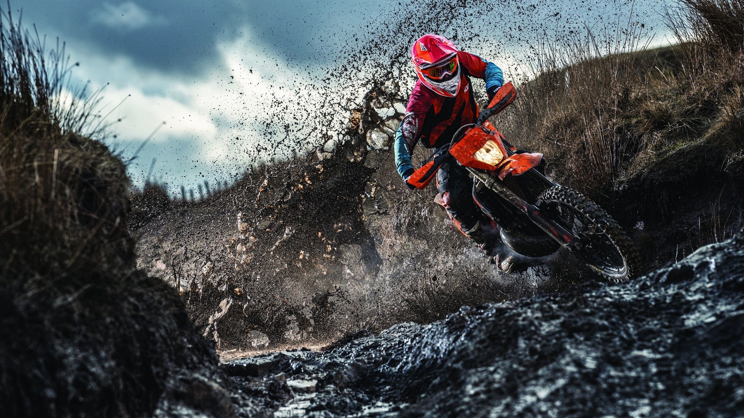 绝杀之夜,奥地利队惊险逆转,张本智和闪耀全场